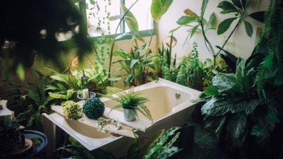 KALENDARIUM. 7 października - wtorek odpręża