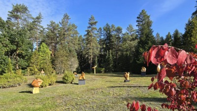 Plenerowa wystawa w&nbsp;Arboretum w&nbsp;Kopnej Górze