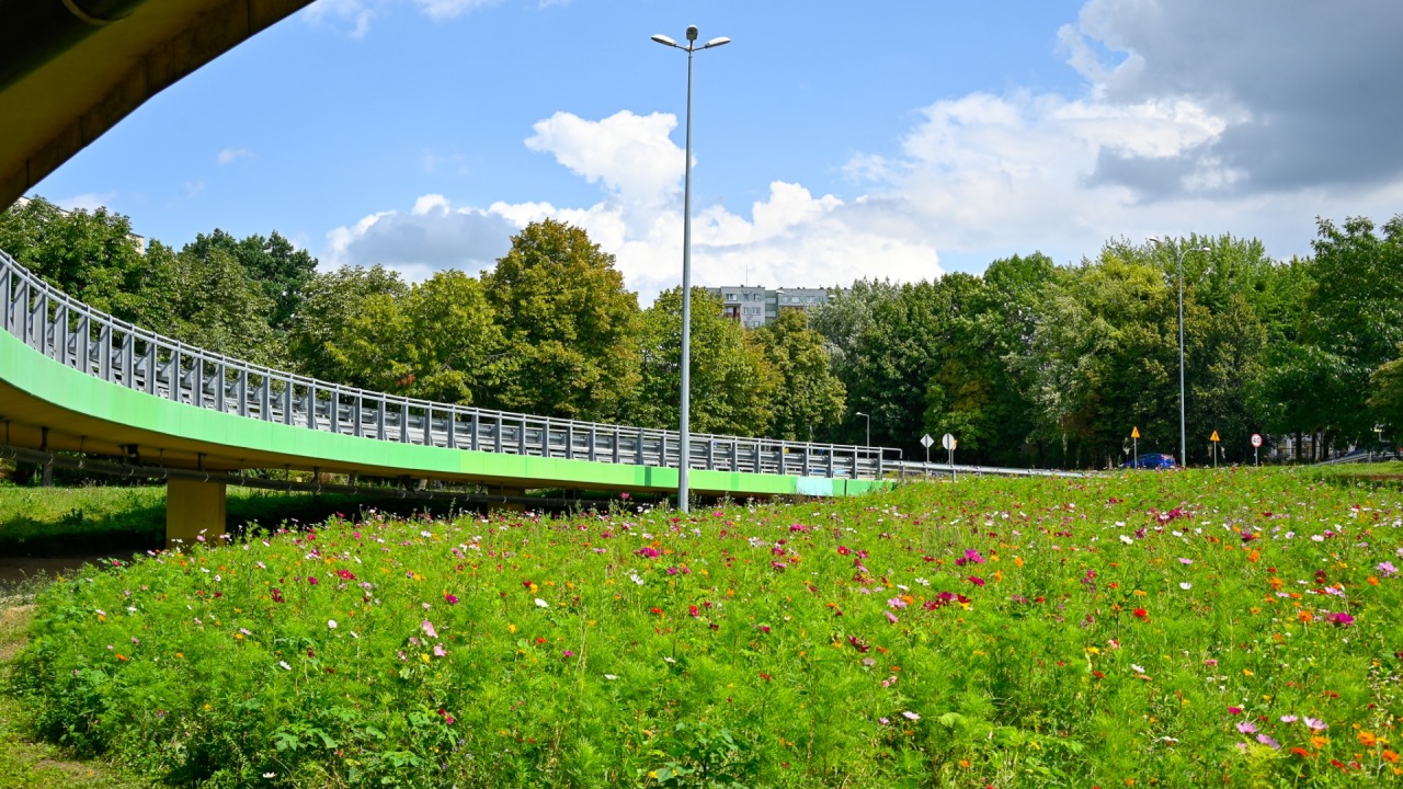 [fot. Marcin Jakowiak]