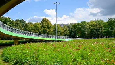 Remonty na wiaduktach i estakadach