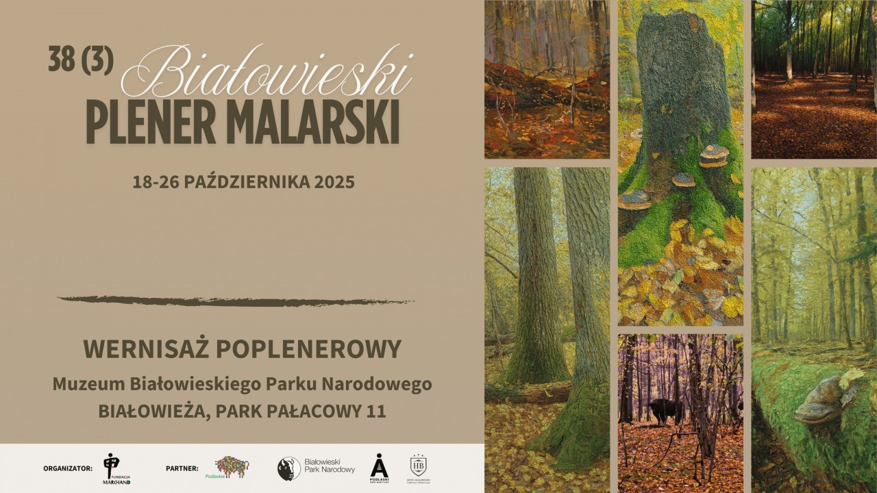 [fot. mat. organizatora]