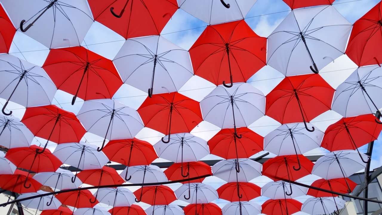 Biało-czerwona dekoracja w 2023 r. [fot. Anna Dycha/Bia24]