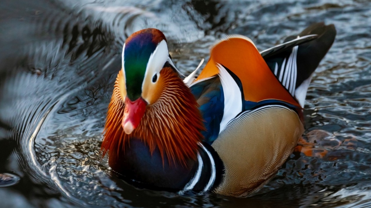 [fot. Miasto Białystok/FB]