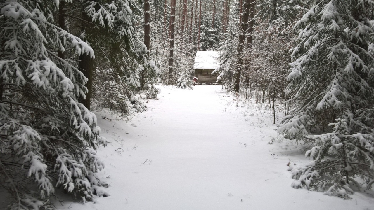 [fot. Nadleśnictwo Supraśl/FB]