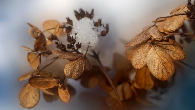 KALENDARIUM. 27 listopada - czwartek zachlapany