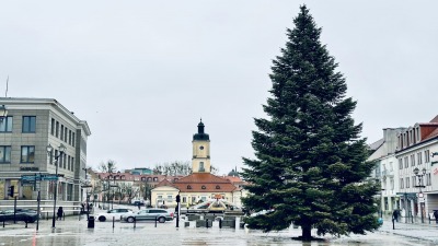 Miejska choinka już stoi na&nbsp;Rynku Kościuszki