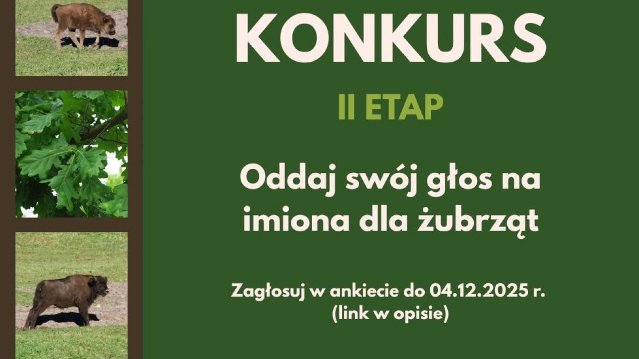 [fot. Białowieski Park Narodowy]