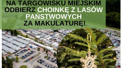 Choinka za makulaturę. Można otrzymać świąteczne drzewko