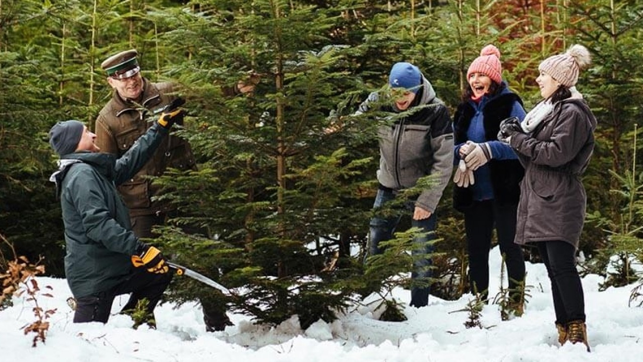 [fot. choinkadlazycia.pl]