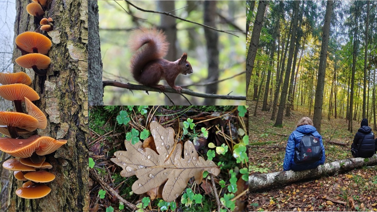 [fot. mat. organizatora]