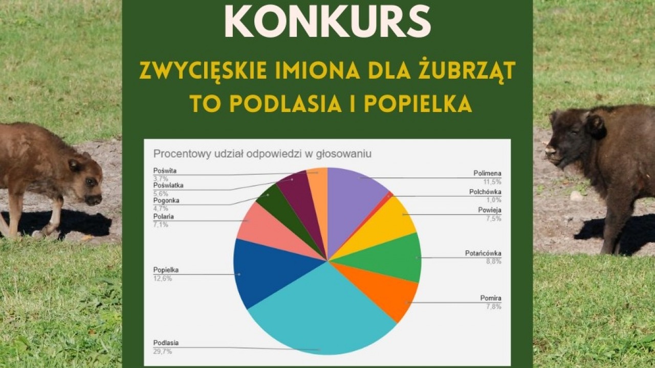 [fot. mat. organizatora]