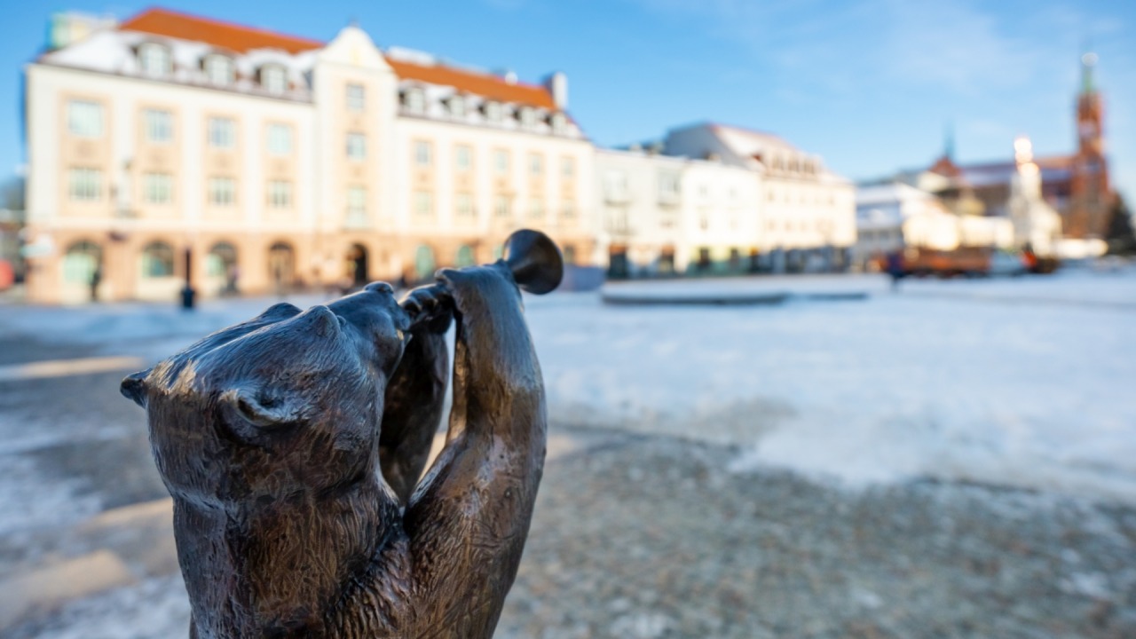 [fot. Jakub Tomasz Gwiazdowski]