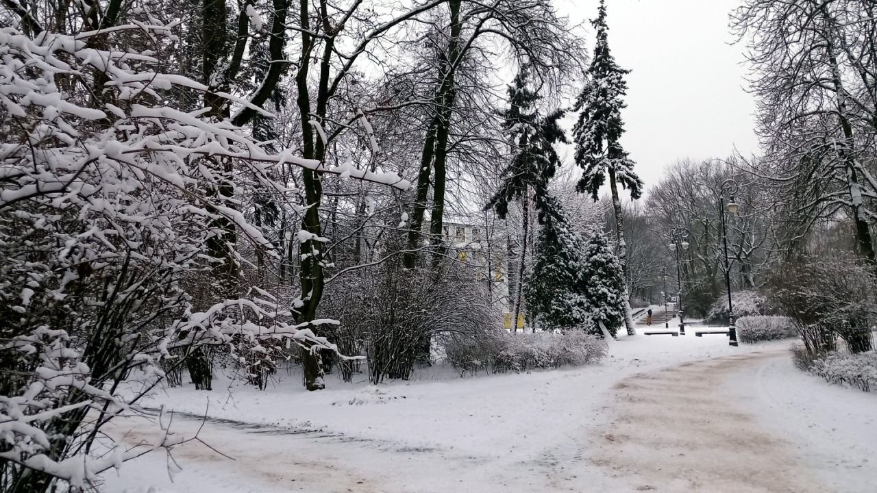 [fot. archiwum Bia24]