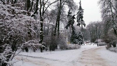 Silny mróz wraca do&nbsp;stolicy województwa
