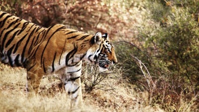 Ciekawi Świata: Marta Sawicka-Danielak