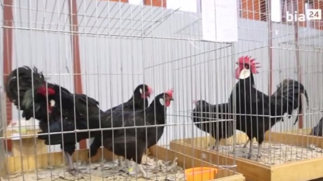 [fot. archiwum Bia24]