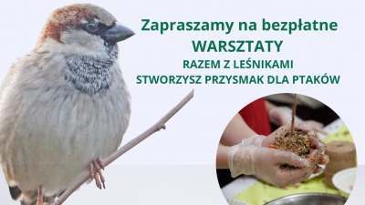Warsztaty edukacyjne "Jak mądrze dokarmiać ptaki zimą"