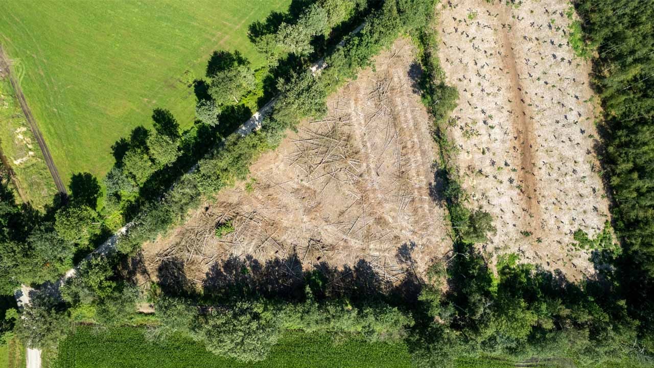 [fot. materiały partnera]