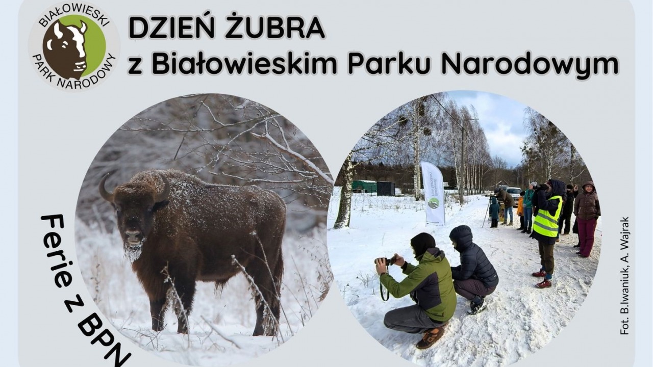 [fot. mat. organizatora]