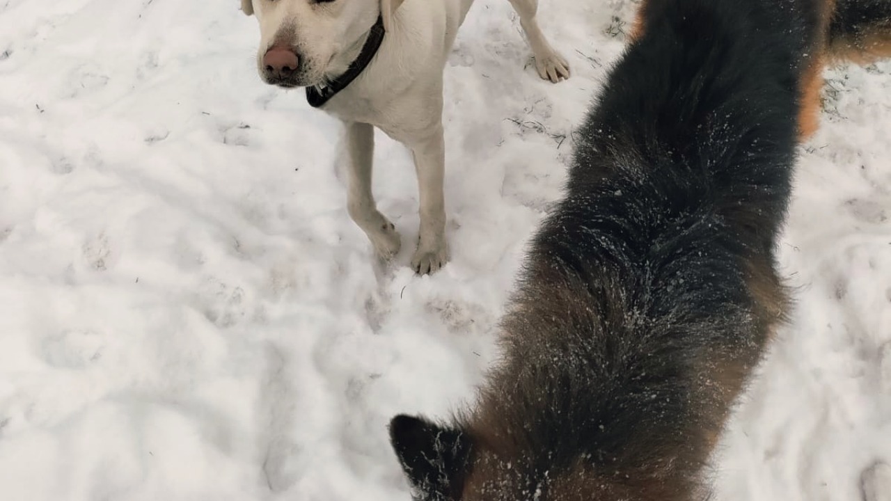 źródło: KWP w Białymstoku