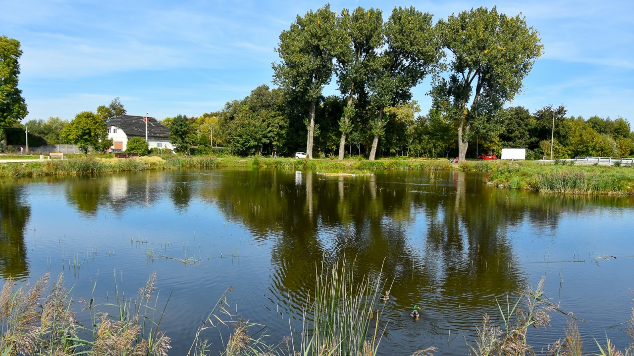 [fot. Marcin Jakowiak/UM Białystok] 