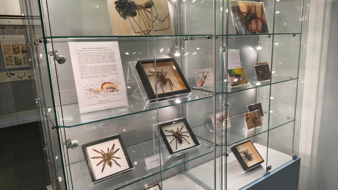 [fot. K.Cydzik/mat. prasowe]