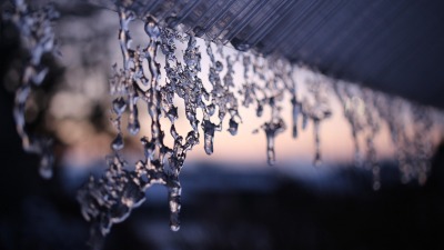 KALENDARIUM. 26 stycznia - poniedziałek  na&nbsp;plusie