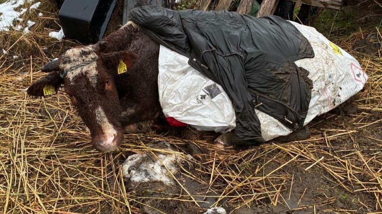 [fot. monki.policja.gov.pl]