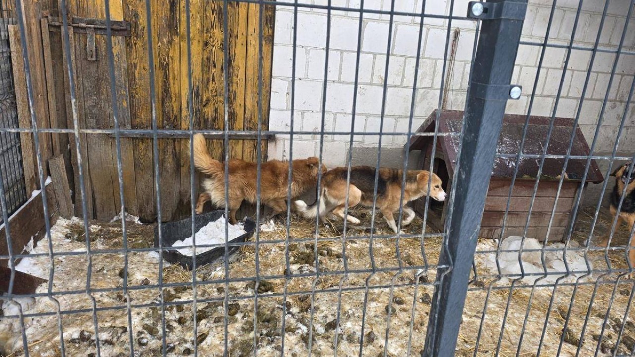 [fot. Komenda Powiatowa Policji w Zambrowie/Facebook]