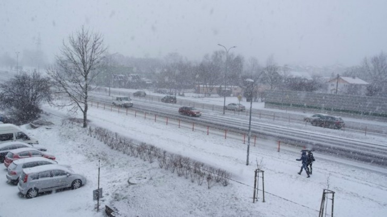 [fot. archiwum Bia24]