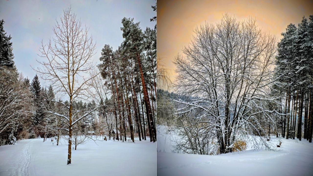 [fot. Iwona Zinkiewicz/Nadleśnictwo Supraśl/FB]