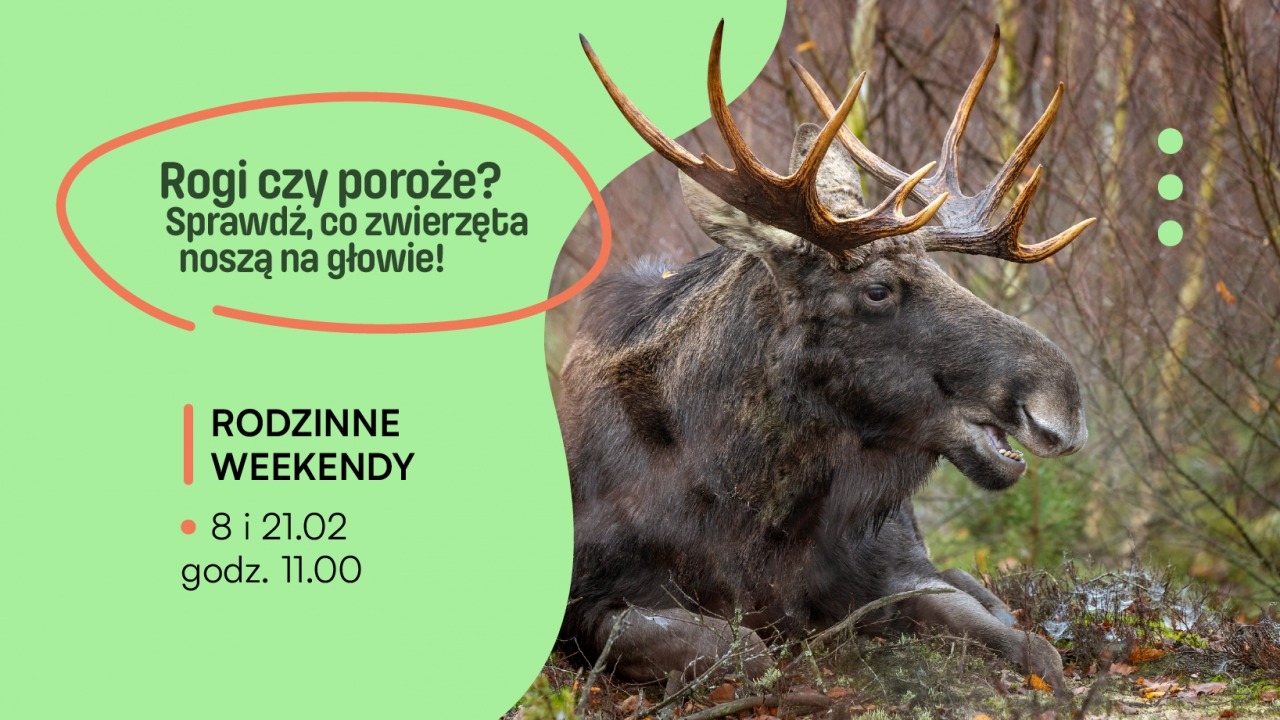 [fot. mat. organizatora]