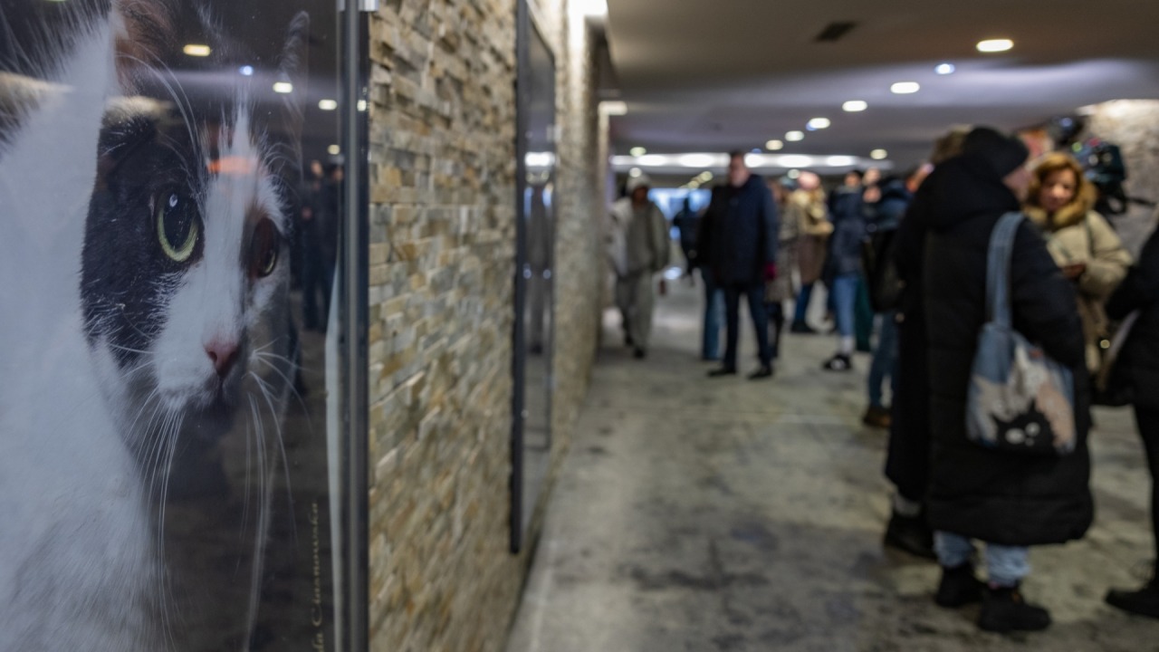 [fot. Waldemar Kardasz]