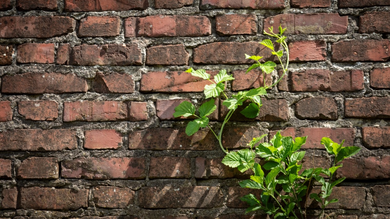 [fot. mat. organizatora]