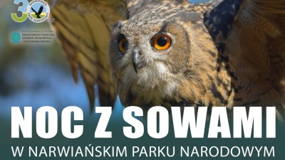 Noc z&nbsp;sowami w&nbsp;Narwiańskim Parku Narodowym