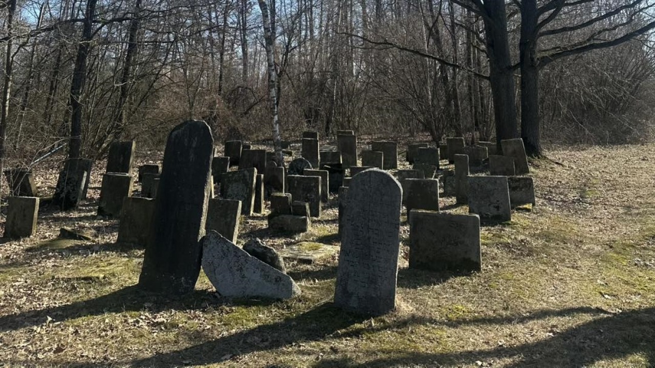 [fot. Ewelina Trochimowicz]