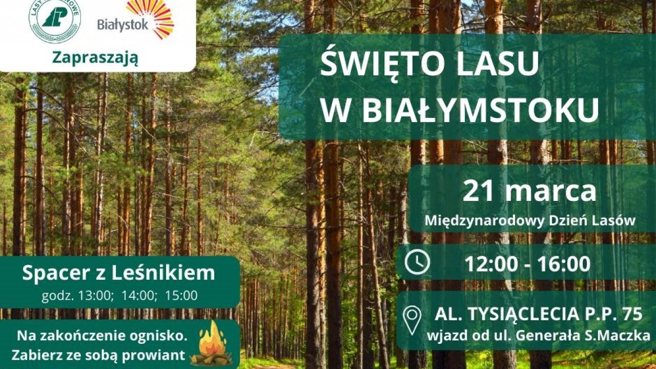 [fot. mat. organizatora]