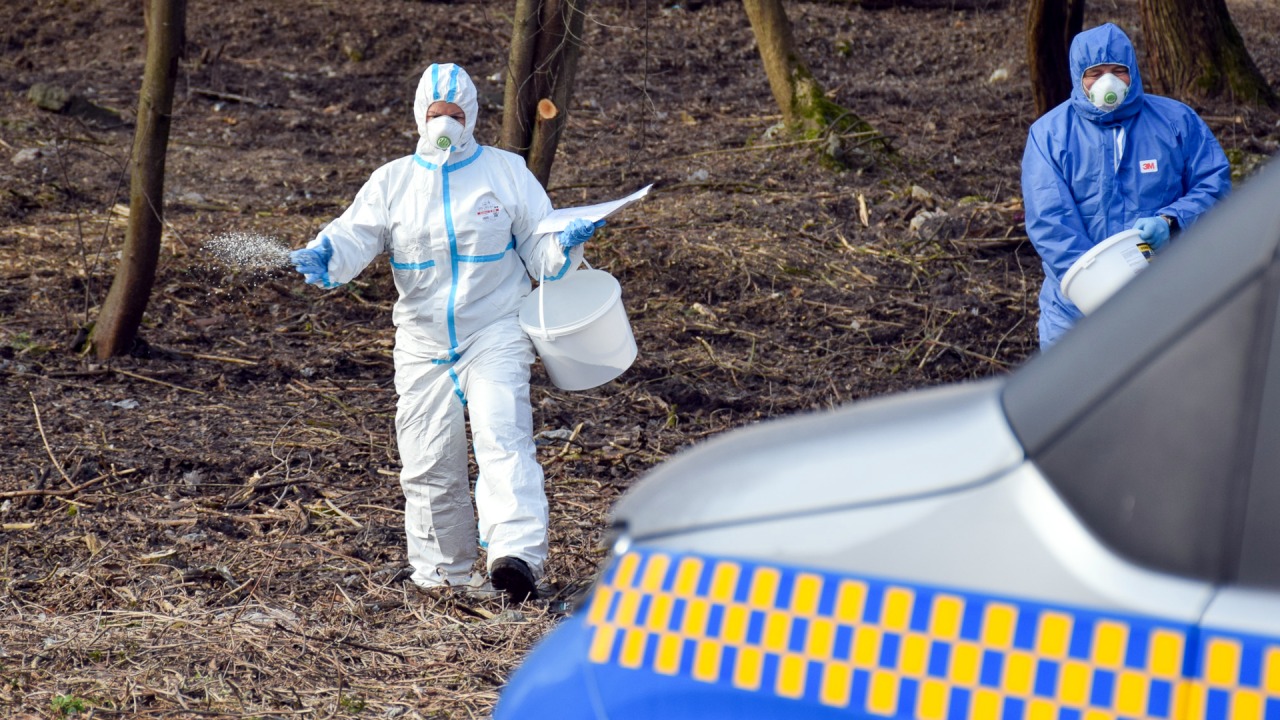 Granulat ma odstraszać miejskie dziki [fot. UM Białystok