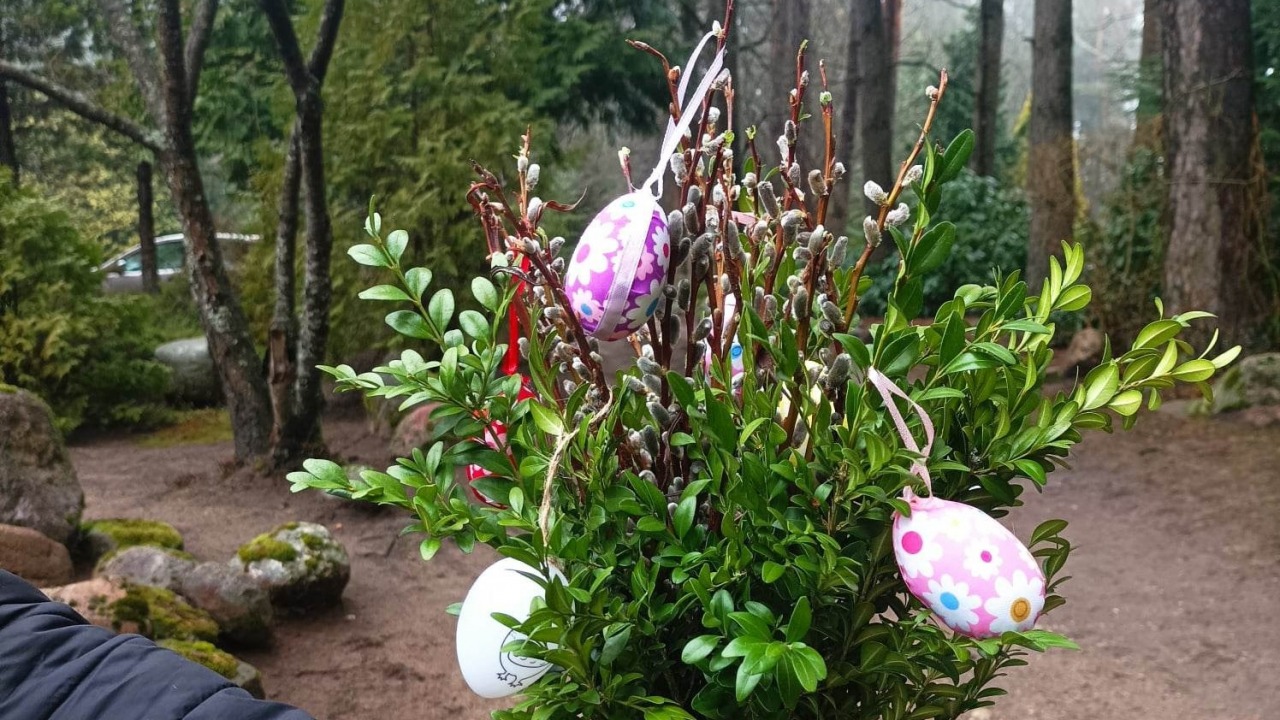 [fot. Nadleśnictwo Supraśl]