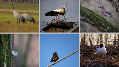 Muzeum Fotografii. Dzieci przygotują pisanki