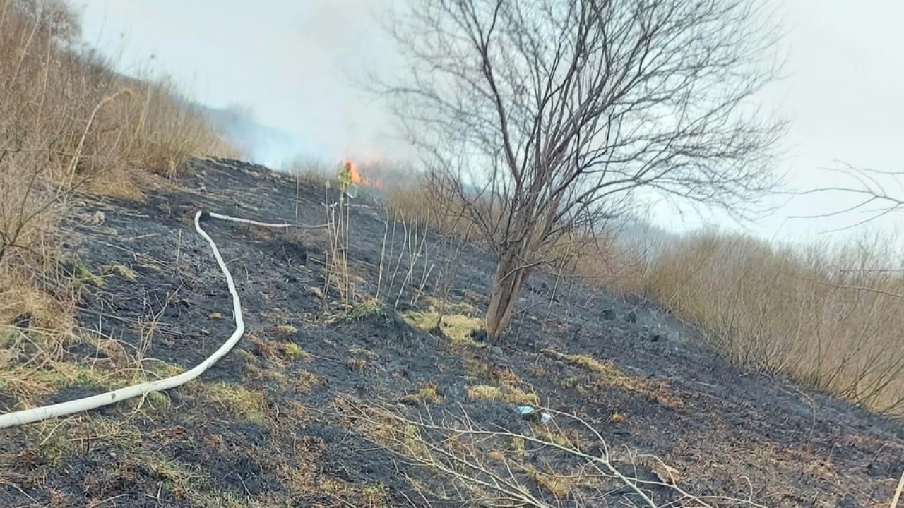 [fot. lomza.policja.gov.pl]