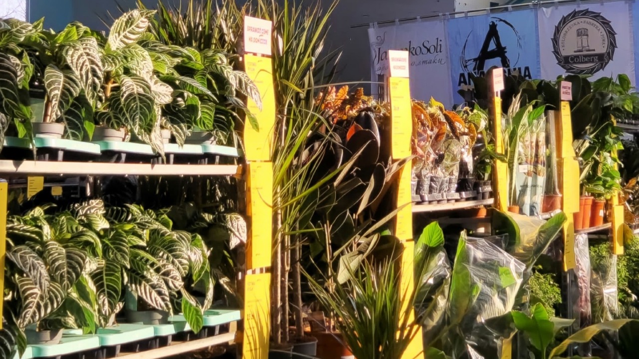 [fot. Festiwal Roślin]