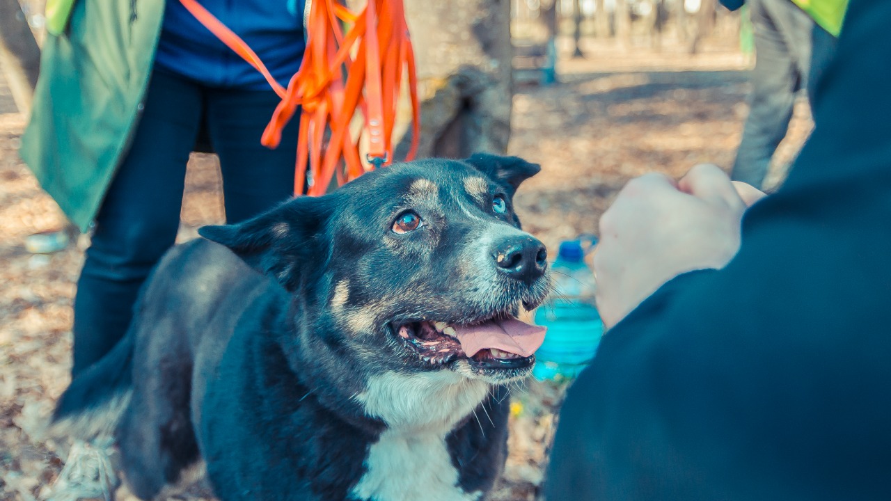 [fot. materiały prasowe]
