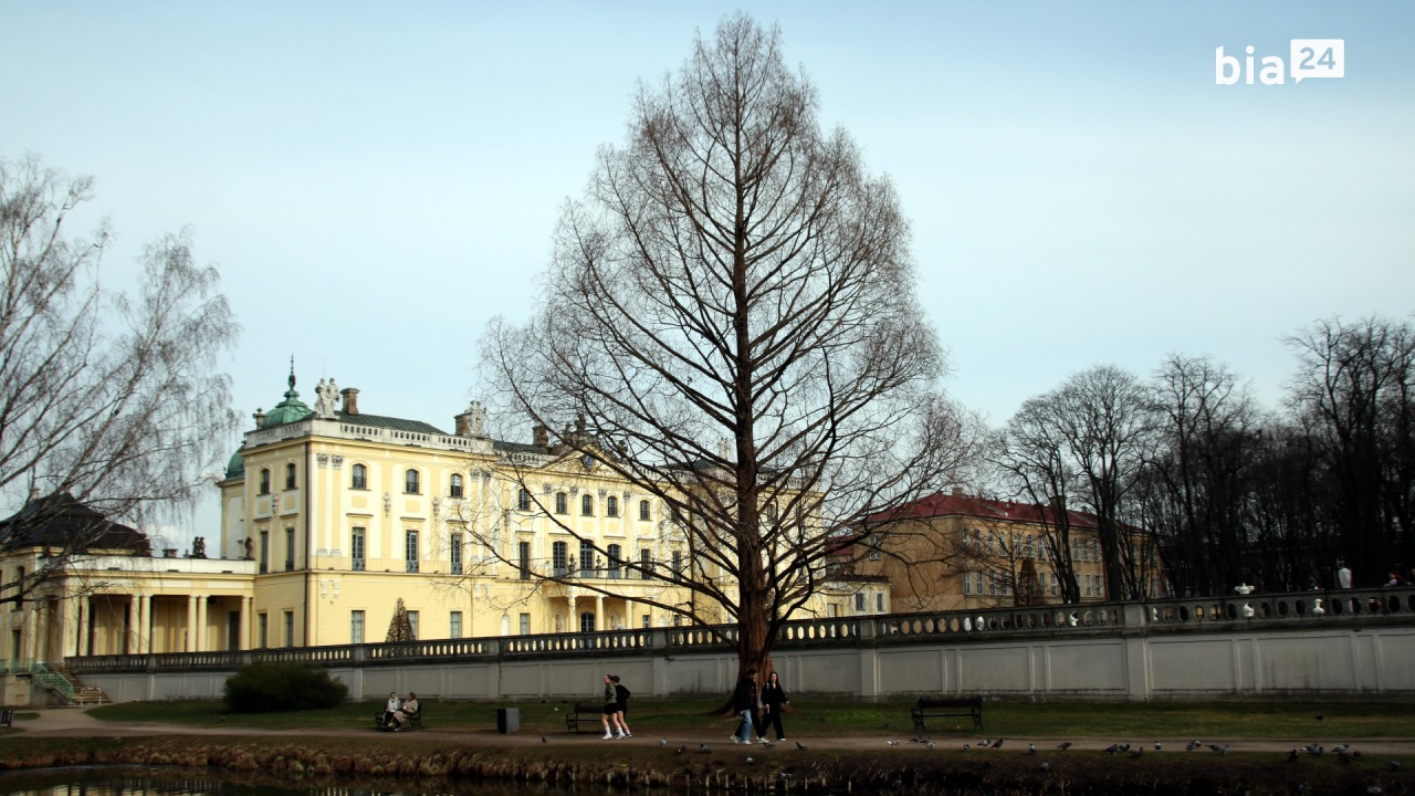 Metasekwoja chińska w Ogrodach Branickich [fot. Bia24]