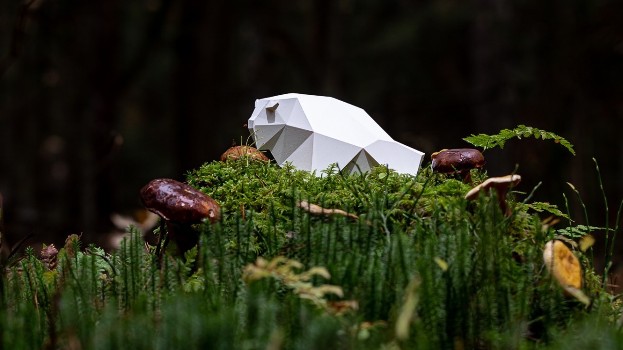 [fot. materiały prasowe]