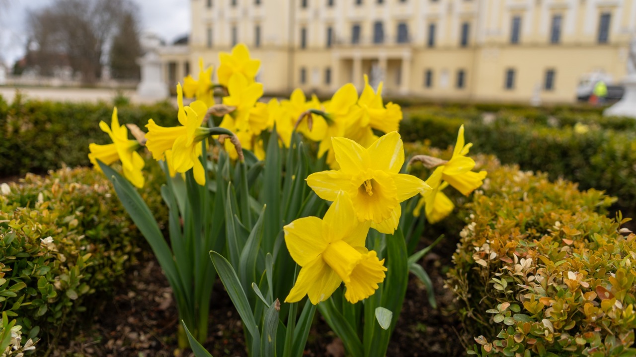 [fot. Marcin Jakowiak/UM Białystok]
