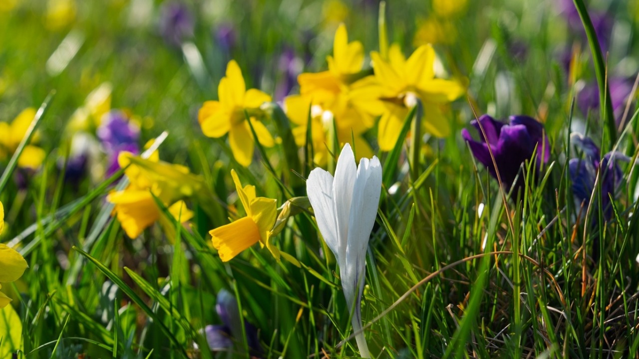 [fot. Miasto Białystok/FB]