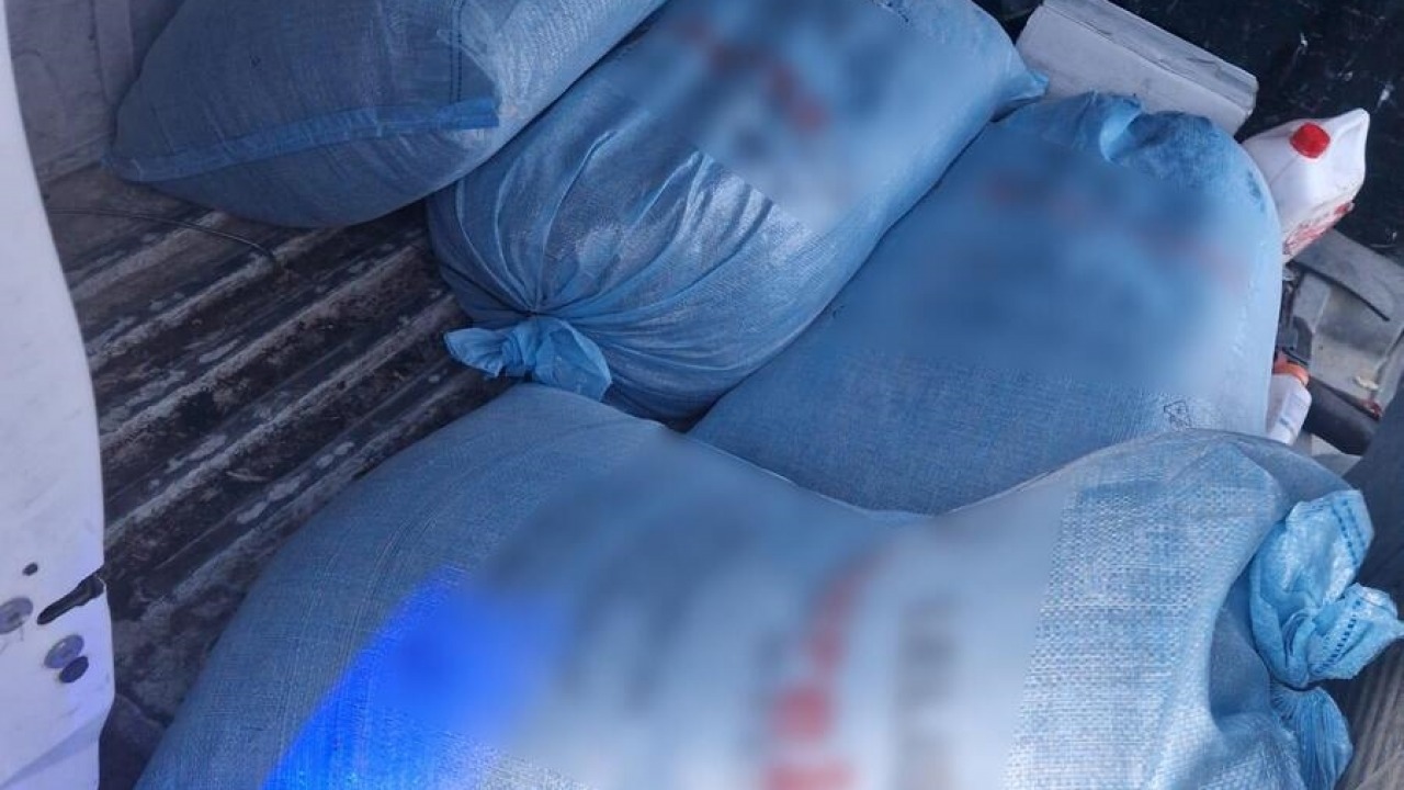 [fot. Podlaska Policja]