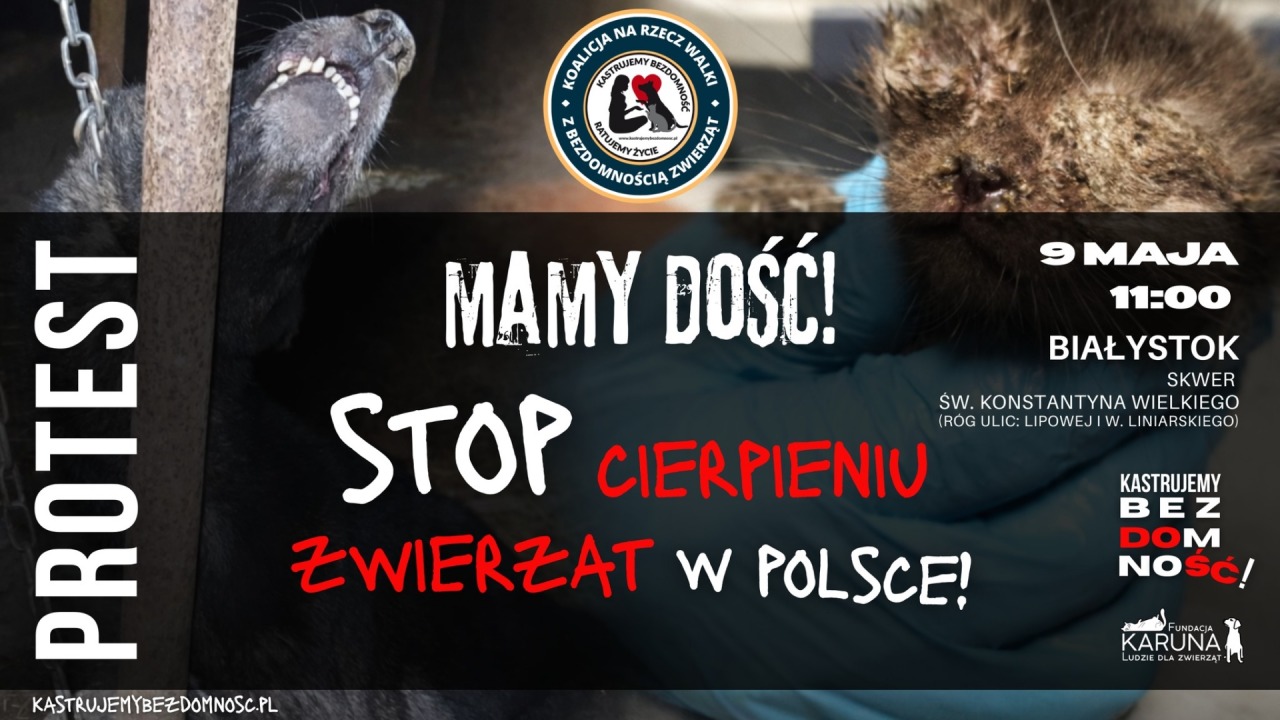 [fot. mat. organizatora]