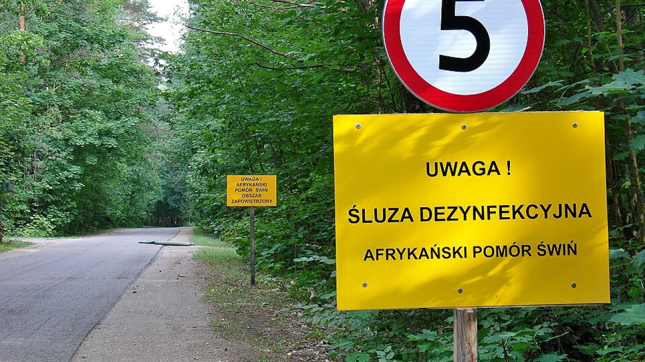 Zdjęcie ilustracyjne [fot. wikimedia.org]